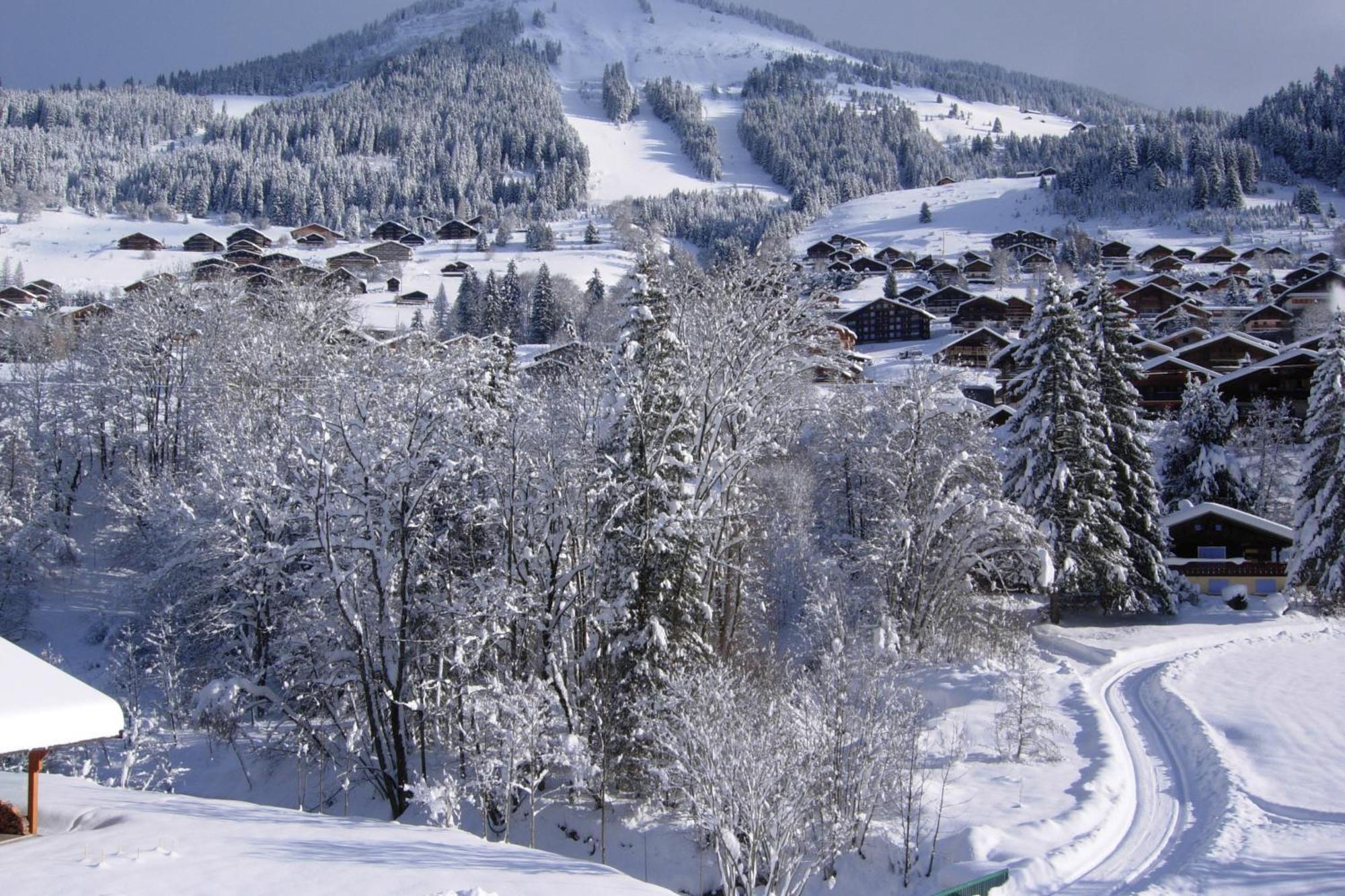 Au Bois De Lune Châtel Exterior foto